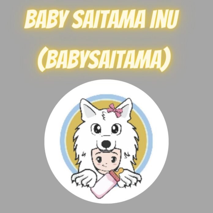 How to Buy Baby Saitama Inu (BABYSAITAMA)